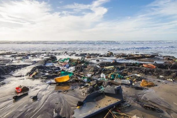 Ocean plastic pollution
