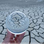 The effect of drought