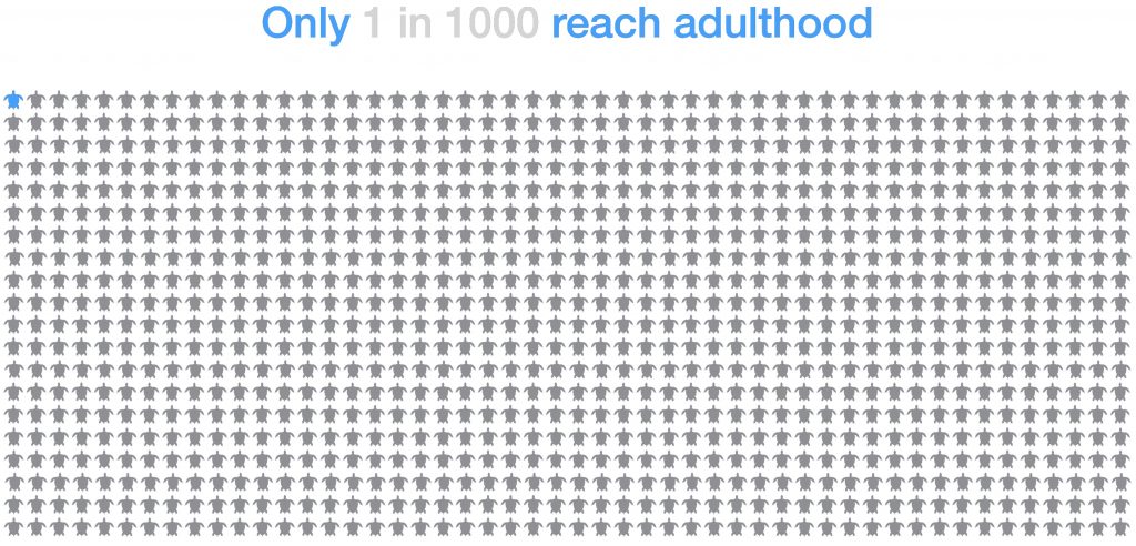 Reaching adulthood Statistics