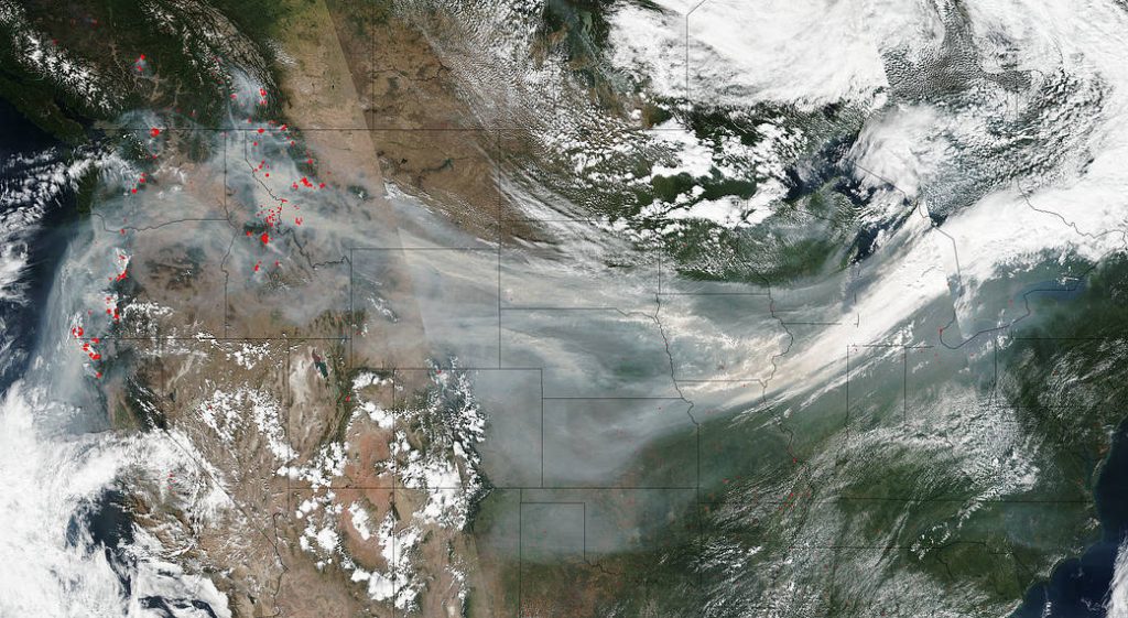Satellite image of smoke from a wildfire