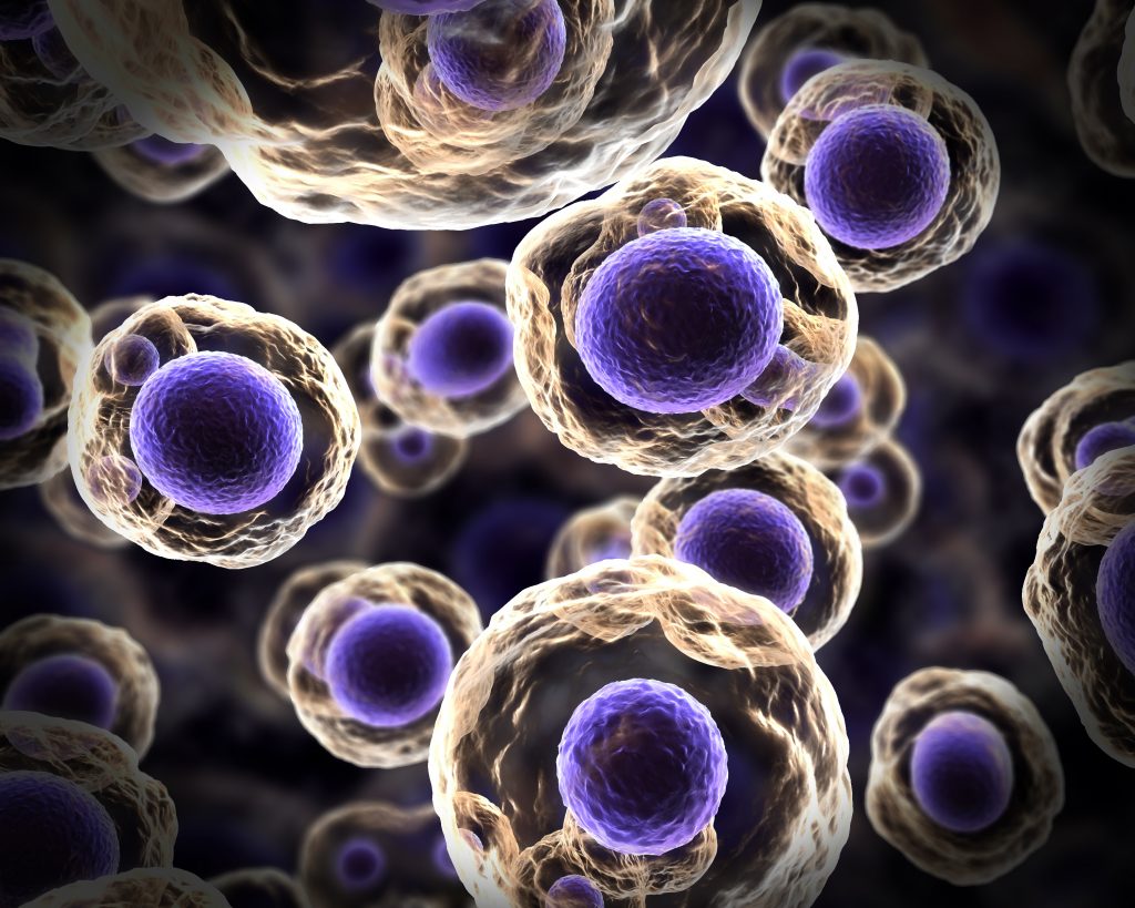 Abstract,Illustration,Of,Cells,In,Mitosis,Or,Multiplication,Of,Cells microgravity experiments
